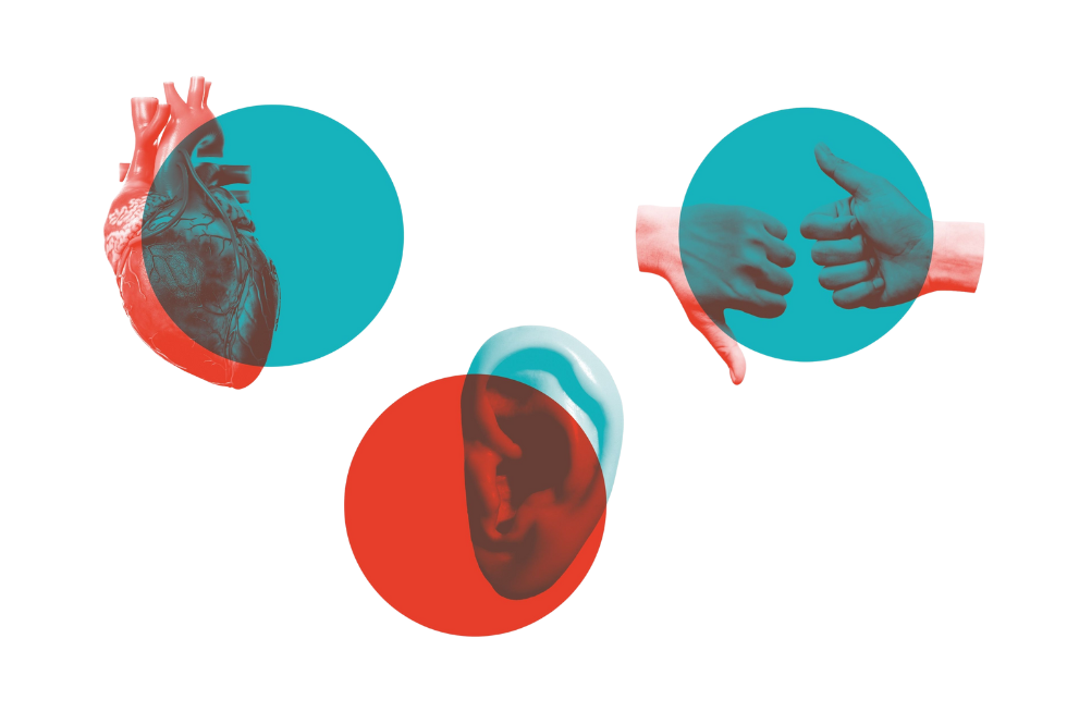 Grafik Demokratie-Fitness