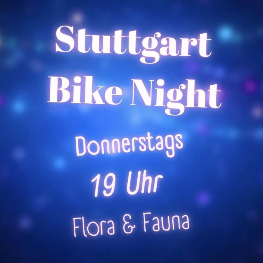 Nachthimmel mit hängender Lichterkette, KI generiert. Donnerstags 19 Uhr Flora & Fauna